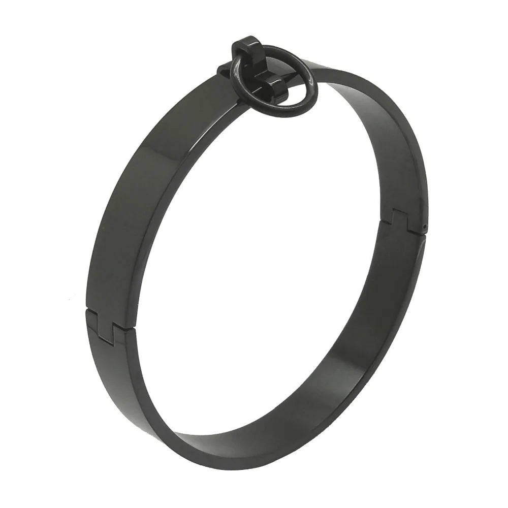 17mm Stainless Steel Slave Collar – Locking - Removable O-Ring Day Collar Submissives, Bondage Neck Restraint