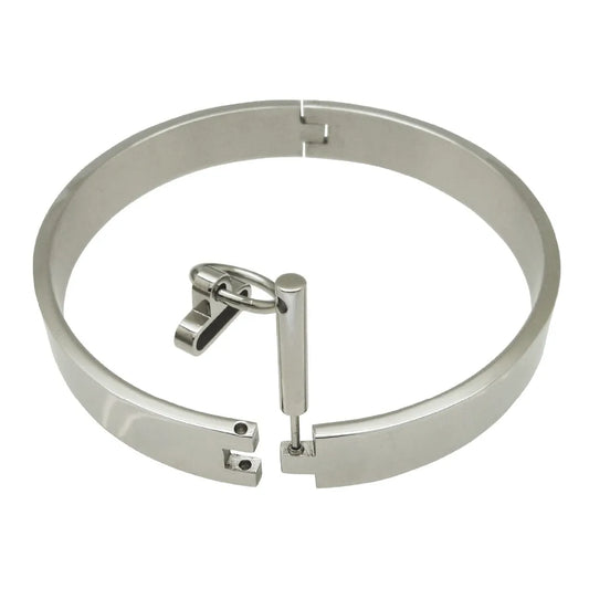 17mm Stainless Steel Slave Collar – Locking - Removable O-Ring Day Collar Submissives, Bondage Neck Restraint