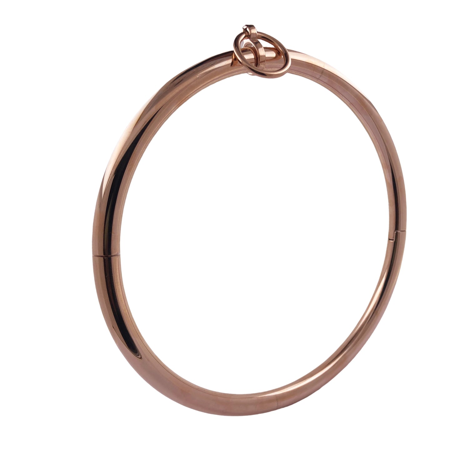 10mm Thick Round Solid Stainless Steel Locking Submission Collar Eternity